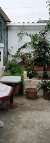 Imagen Galería 6